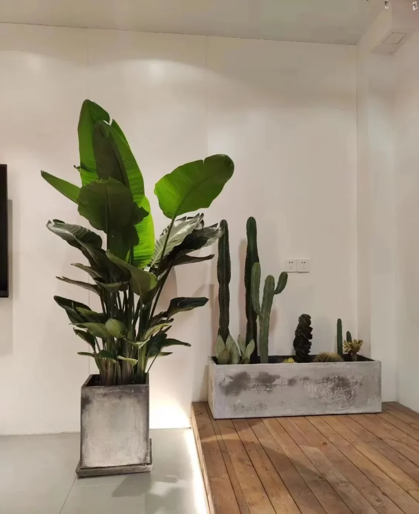 how to choose the right plant pots: a guide for beginners