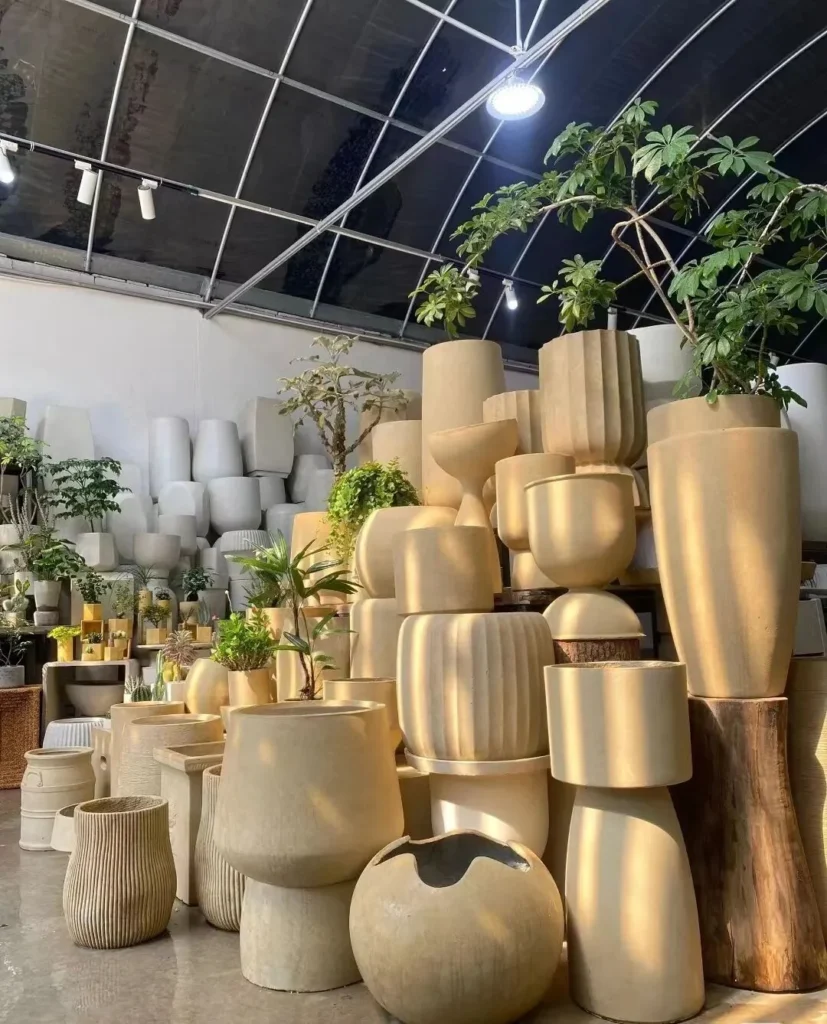 how to choose the right plant pots: a guide for beginners