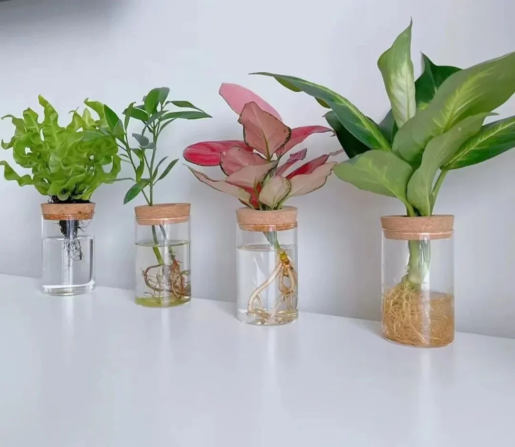 how to choose the right plant pots: a guide for beginners