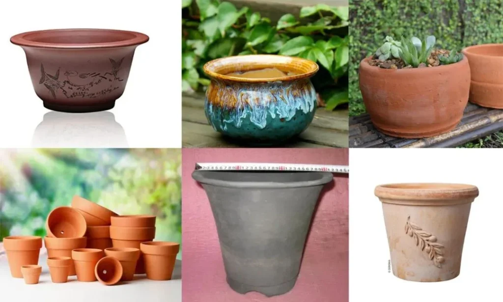 terracotta pots for plants: pros, cons, and care tips