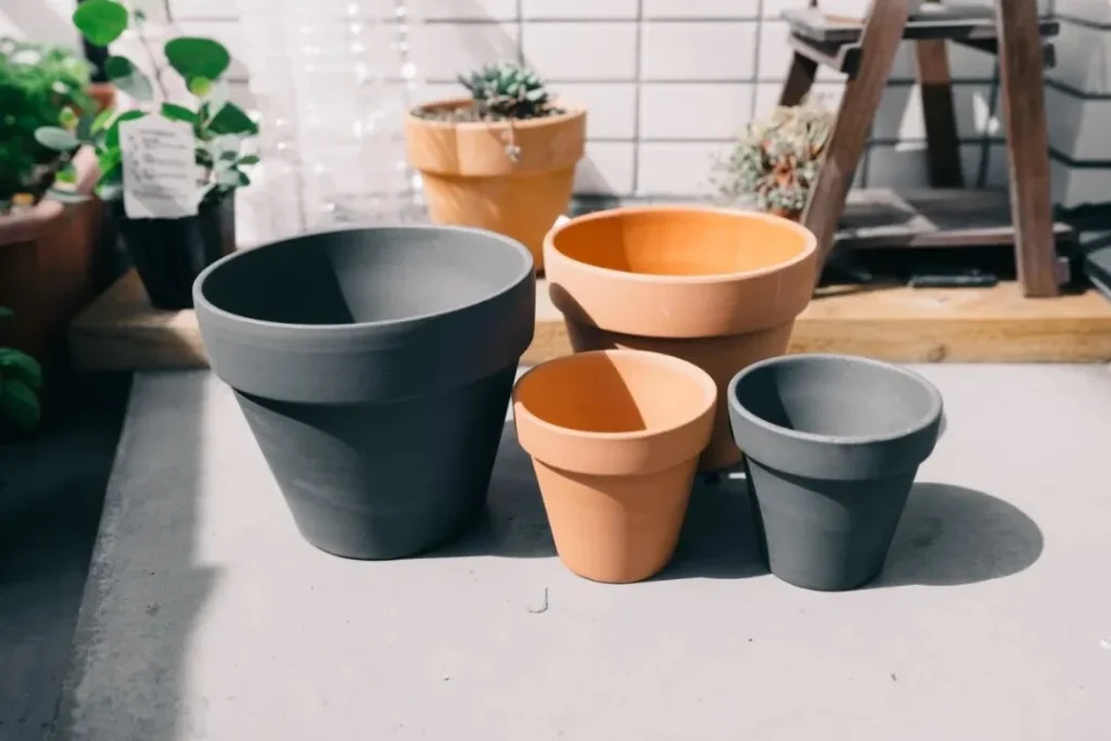 terracotta pots guide: pros, cons, and best plants to grow