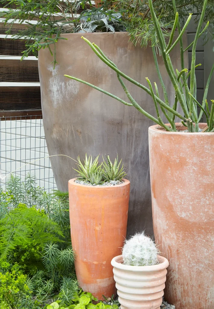 terracotta pots for plants: pros, cons, and care tips