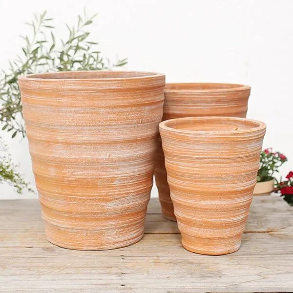 terracotta pots guide: pros, cons, and best plants to grow
