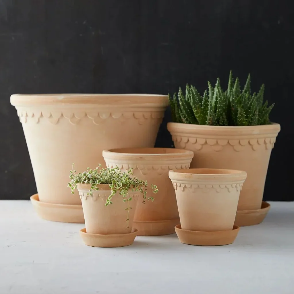 terracotta pots for plants: pros, cons, and care tips