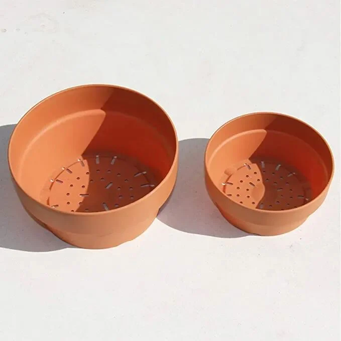 terracotta pots guide: pros, cons, and best plants to grow