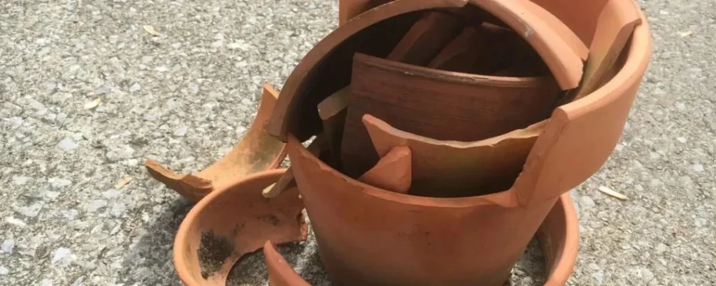 terracotta pots for plants: pros, cons, and care tips