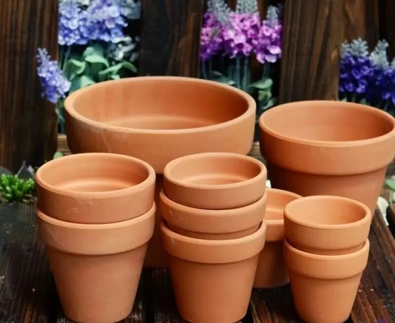 how to choose the best types of plant pots for your plants