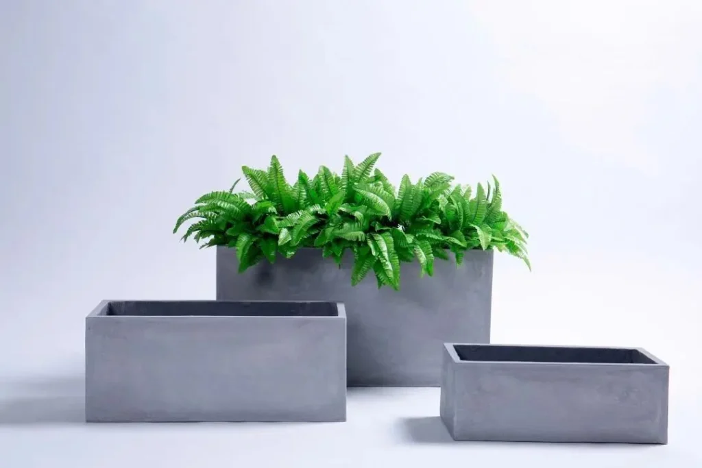how to choose the best types of plant pots for your plants