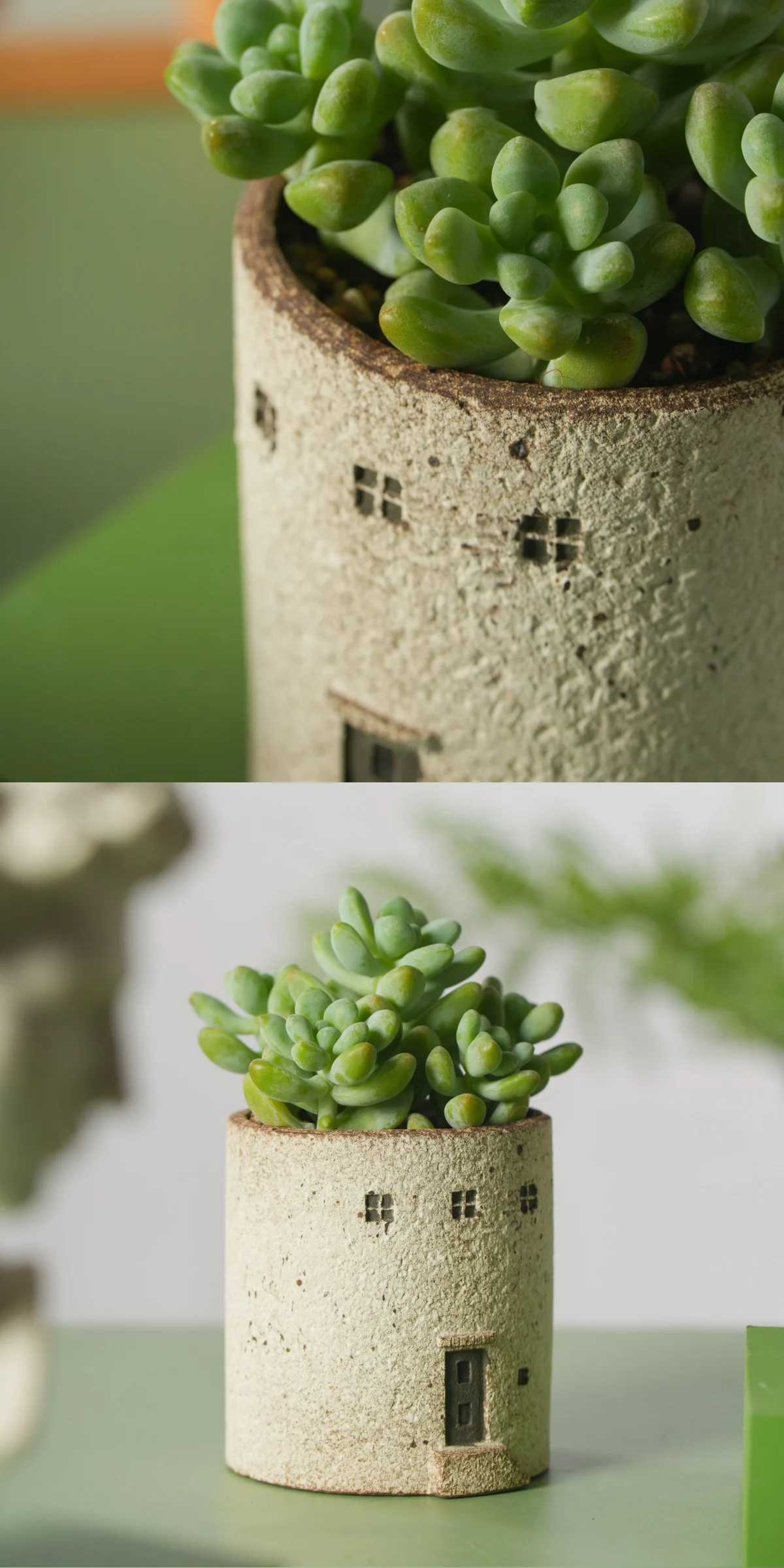 Split view showing close up and full ceramic house planter