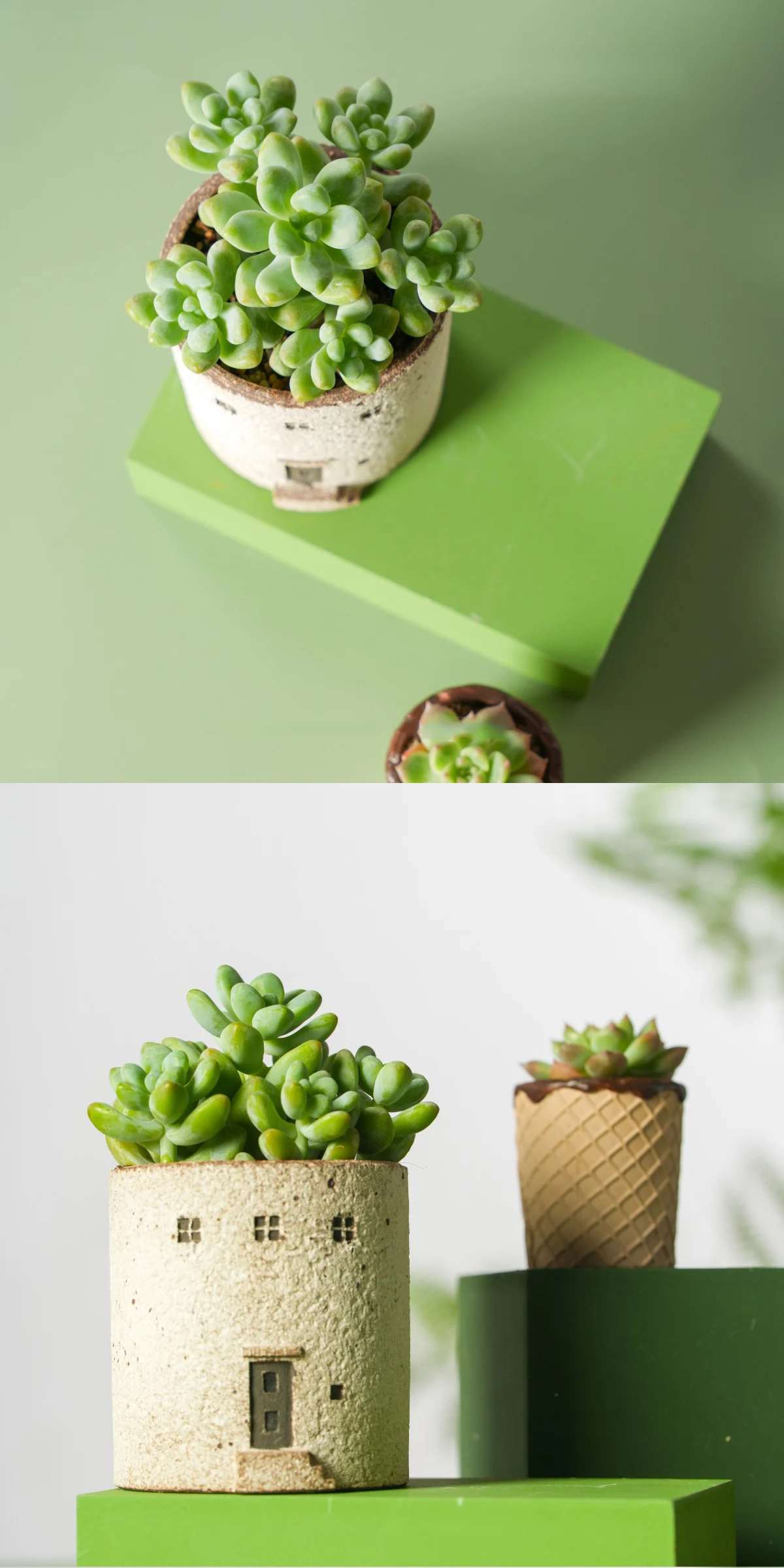 Top view and side view of house and ice cream planters