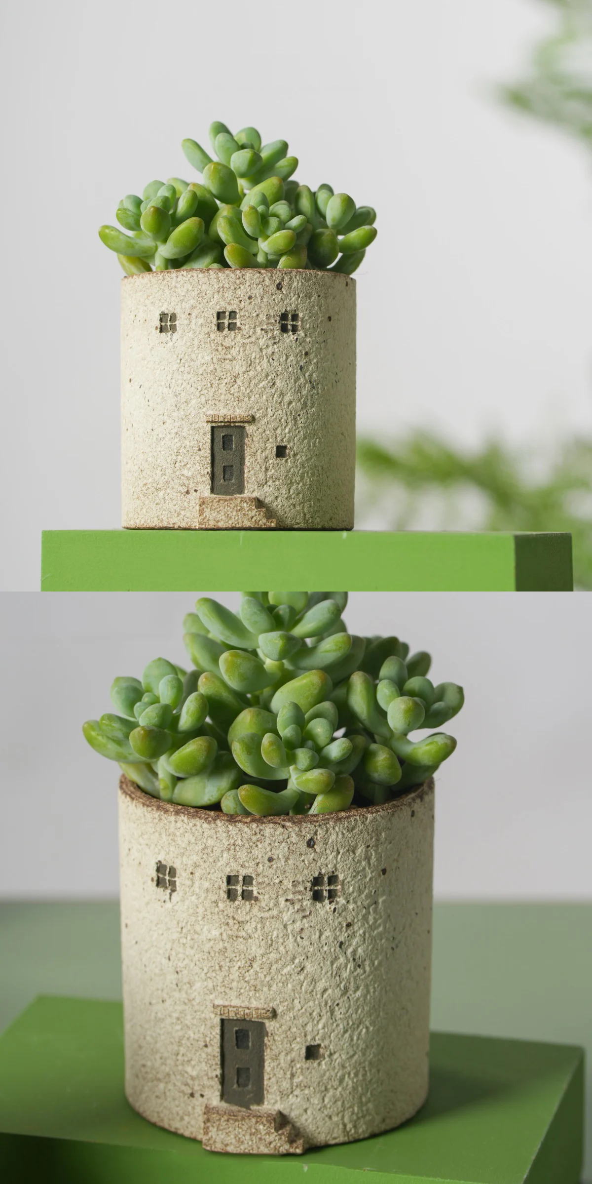 Front and angled views of the cottage succulent pot