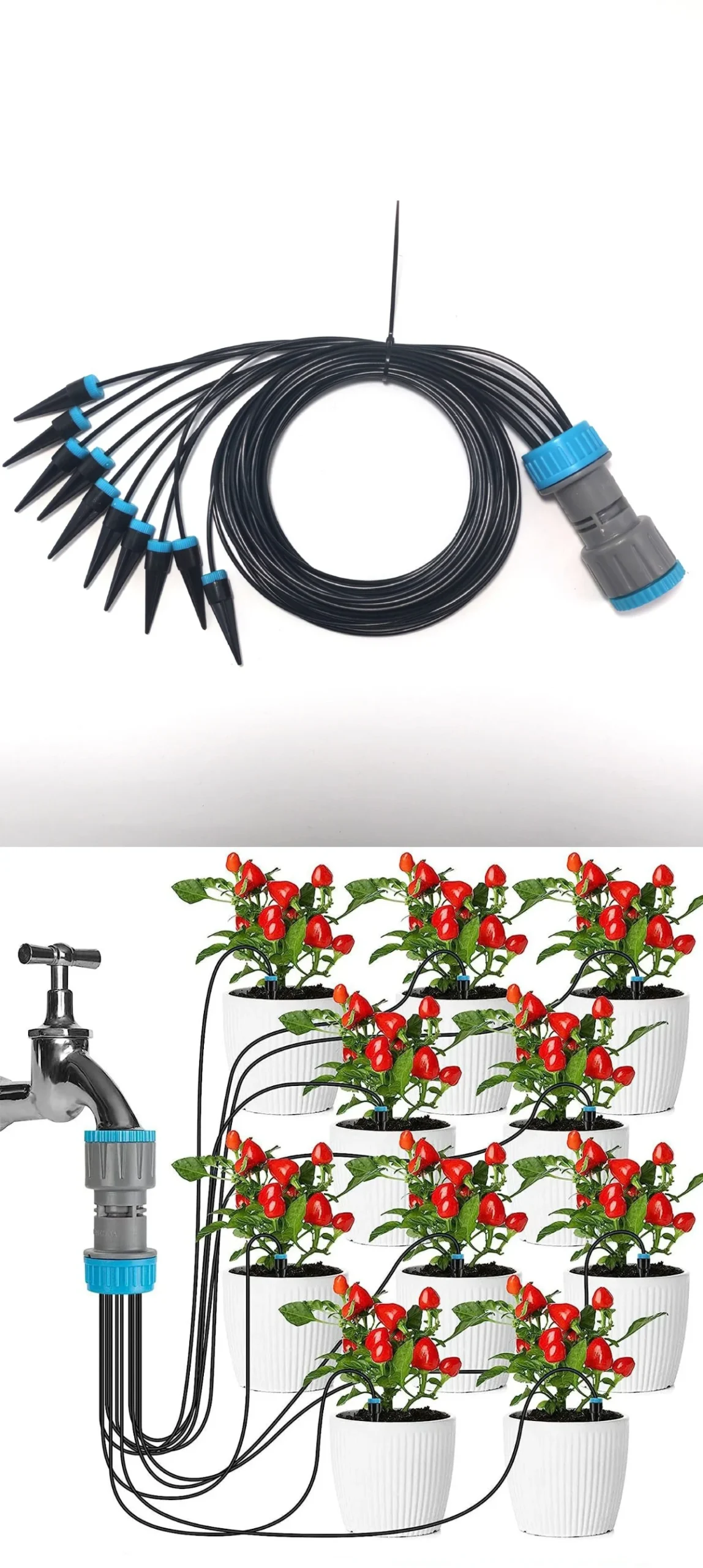 Drip irrigation kit layout and its application on multiple potted pepper plants