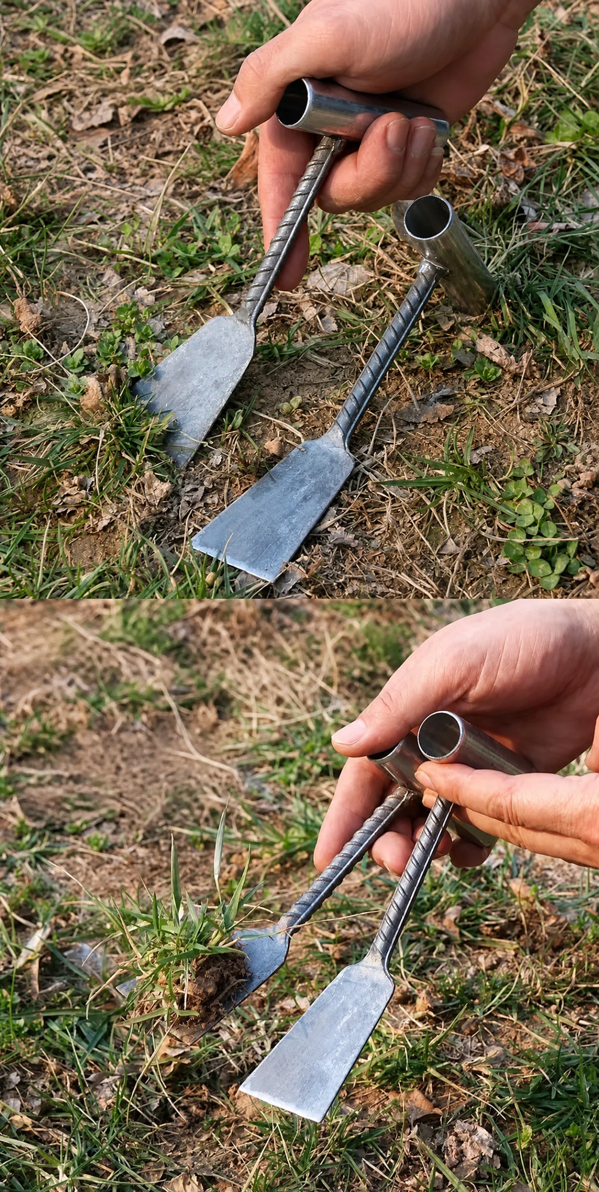 Hand using a rebar weeding hoe to remove grass