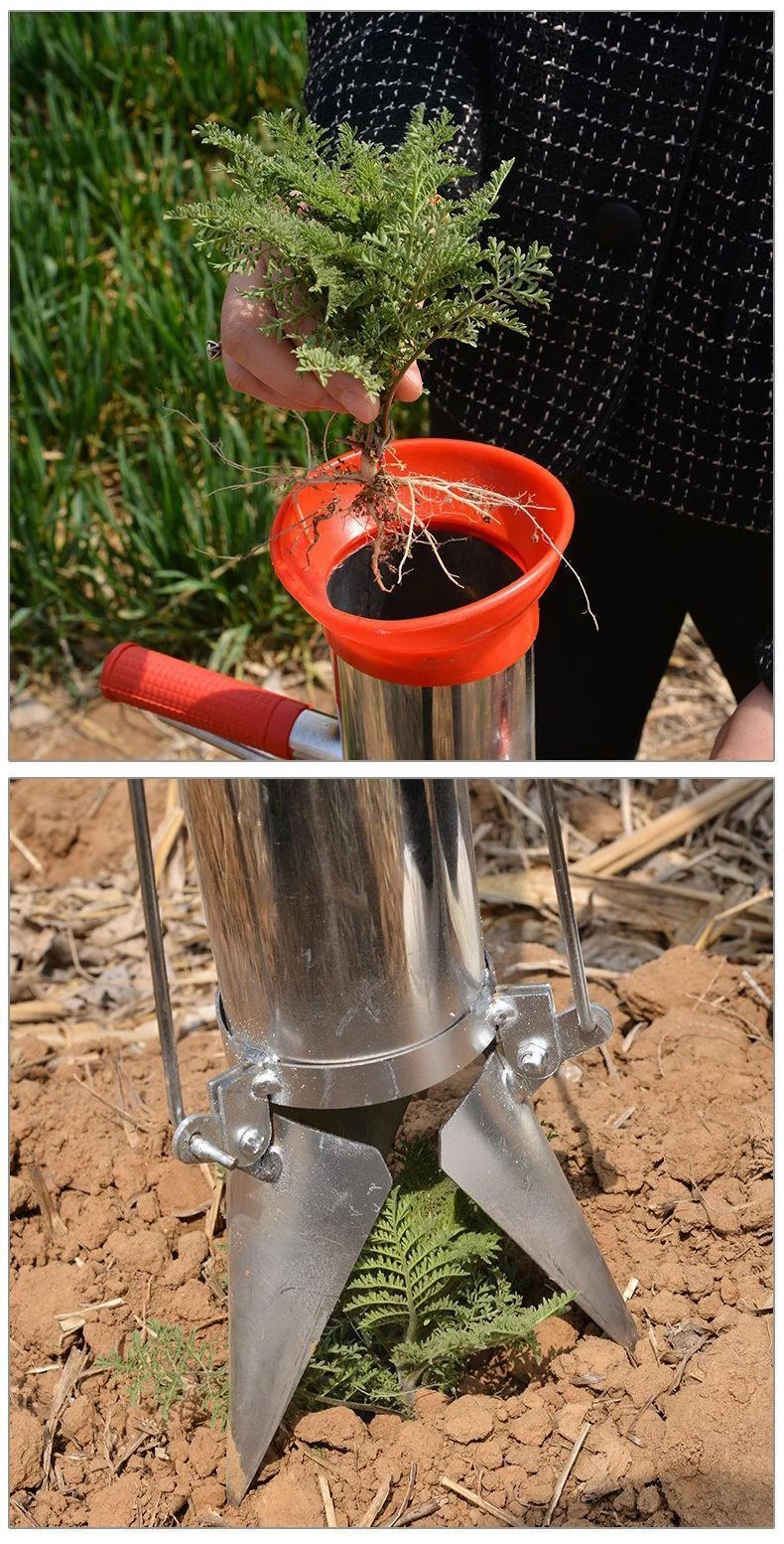 Seedling successfully planted in the ground using the manual tool