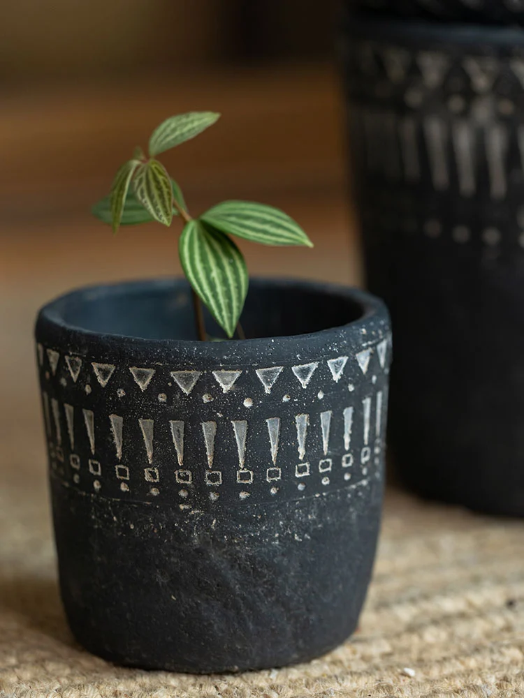 Small dark gray concrete planter with a tiny green plant