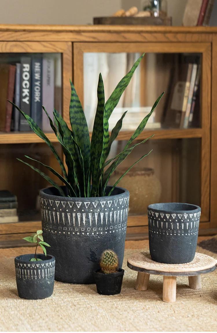 Dark gray concrete planter with a snake plant and small cacti