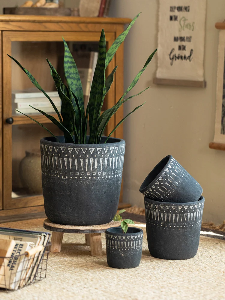 Dark gray concrete planters with a snake plant indoors
