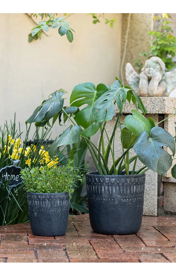 Dark gray concrete planters with large green plants