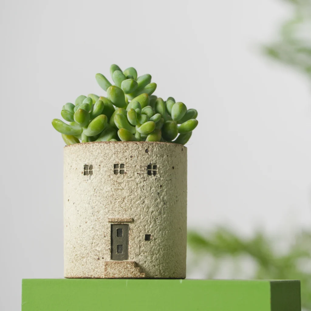 Ceramic House Succulent Planter Pot