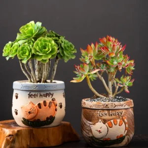 Two ceramic succulent planters with embossed sleeping cats and feel happy text