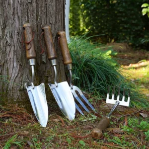 Four stainless steel garden tools with wooden handles leaning against a tree
