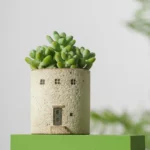 SKU Ceramic House Planter 01 150x150