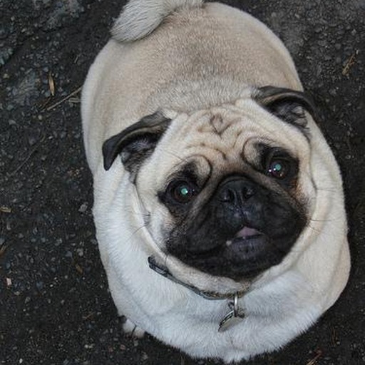 Avatar photo