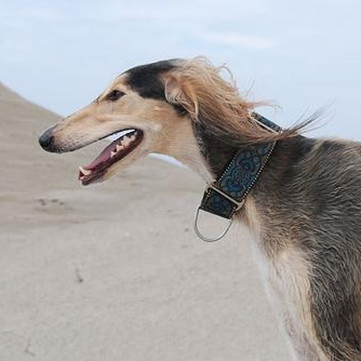 Avatar photo