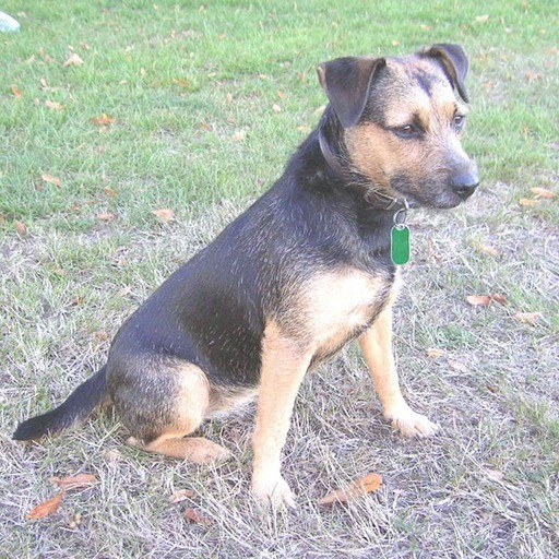 Avatar photo