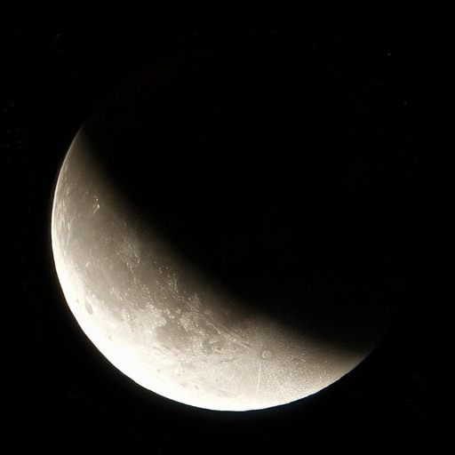 Avatar photo