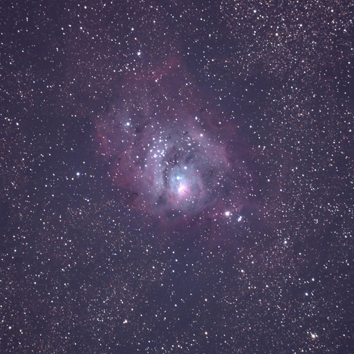 Avatar photo