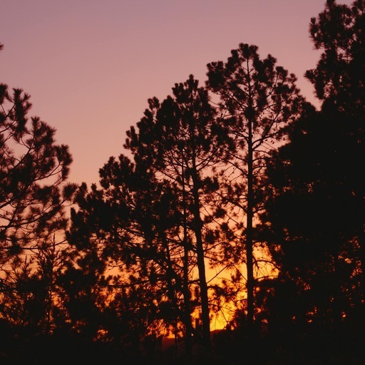 Avatar photo