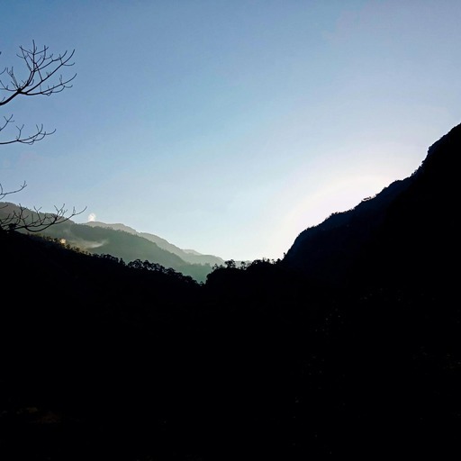 Avatar photo
