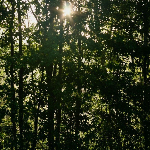Avatar photo
