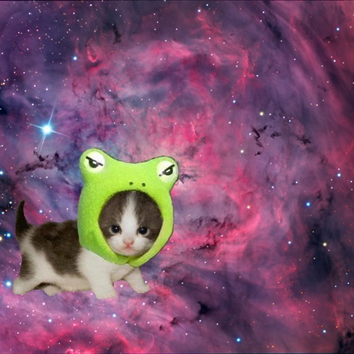 Avatar photo