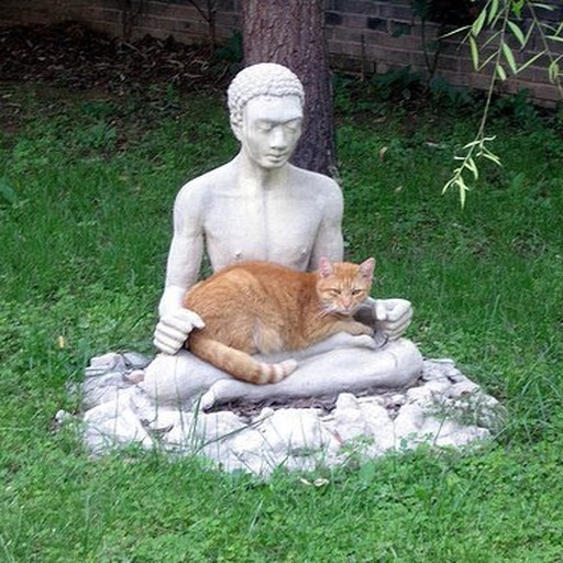 Avatar photo