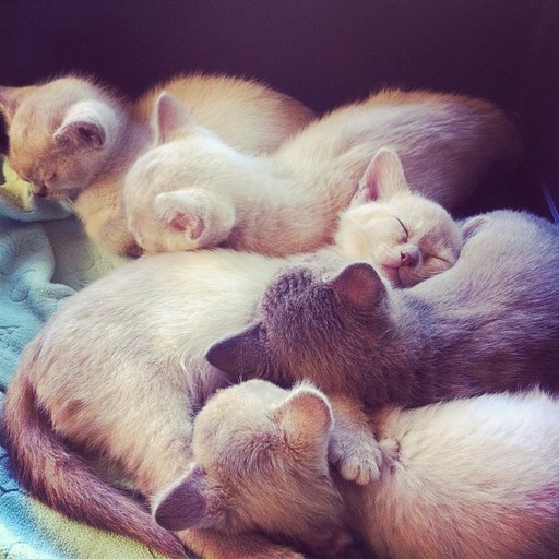 Avatar photo