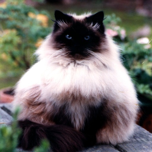 Avatar photo