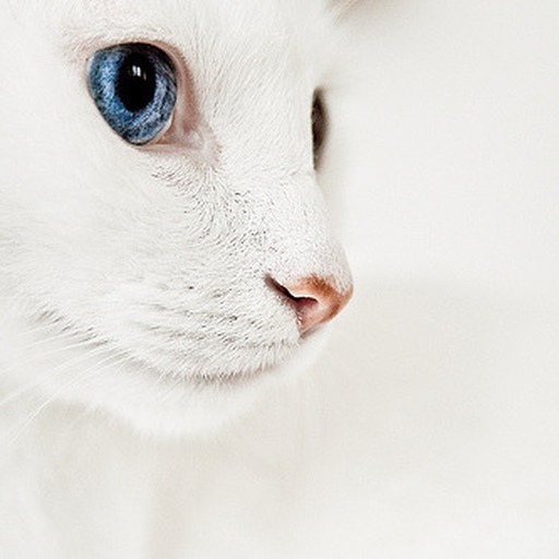 Avatar photo