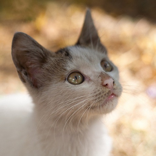 Avatar photo